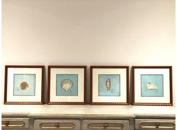 Set Of Four Shell Prints Signed And Numbered (LOC: FFD 1)