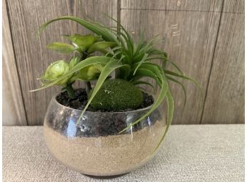 A Faux Plant In A Glass Bowl With Sand