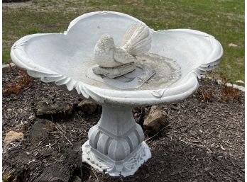 A Beautiful Cement Bird Bath - A Great Addition To Your Outdoor Space!