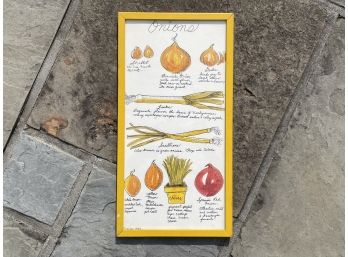 Vintage Onion Artwork