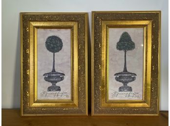Pair Of  Kathryn Clarke Framed Lithographs, 'Topiary Fig' - Limited Edition