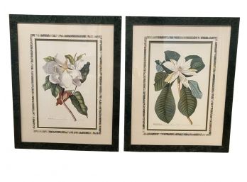Rand. Hort. Chelf Magnolia Prints In Lovely Green Marbled Frame