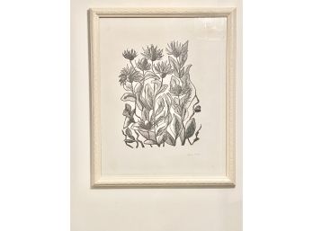 Vintage Framed Pencil Drawing Of Botanicals, Signed By Artist