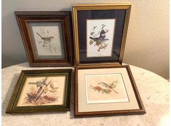 Four Framed Bird Prints