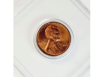 1955 'Poor Man's Doubled Die ' Wheat Penny 'Mint Error' Lincoln Cent