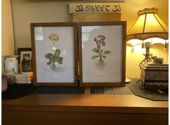 Large Set Of Free Standing Wood Frames - Botanical Prints
