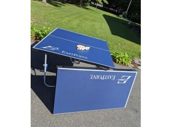 Ping Pong / Beer Pong / Table Tennis Foldable Table