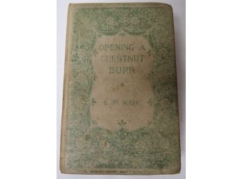 Opening A Chestnut Burr By E.P. Roe, Published 1902