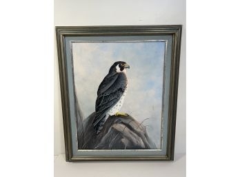 Falcon Oil  On Canvas Painting
