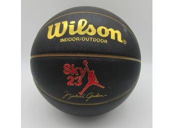 Michael Jordan Sky 23 Cast Bilt Wilson Indoor/outdoor  9lb Basketball