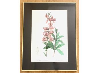 Botanical Illustration Martagon Lily Flower Metropolitan Museum Of Art Print In Gilded Frame