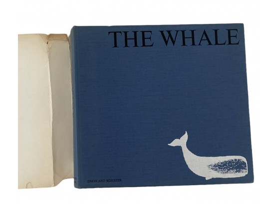 'The Whale' Nature Book