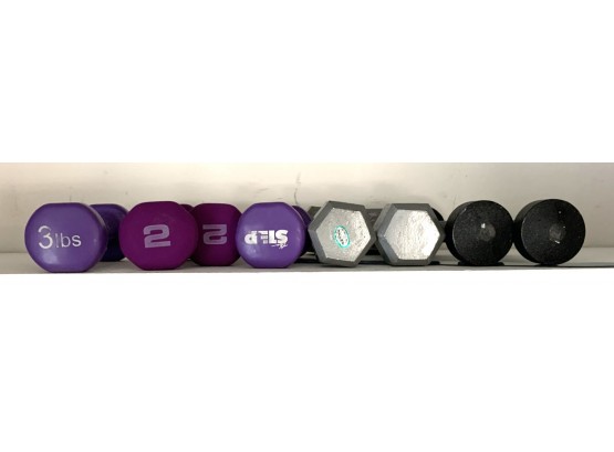 Group Of Eight Hand Weights