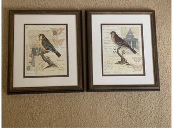 Pair Custom Framed And Matted Bird Prints