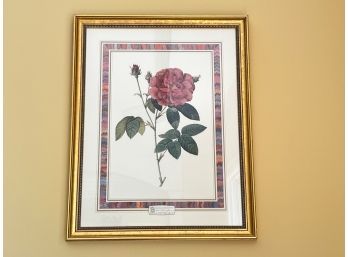Set Of Three Botanical Collection Floral Prints In Gilt Frames