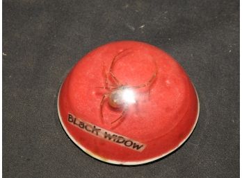 Actual Sized Real Black Widow Specimen Paperweight