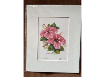 Bermuda Flowers-'Pink Hibiscus'-Forbes