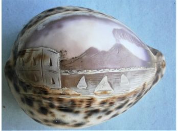 Carved Sea Shell Depicting Volcano
