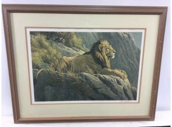 Lithograph, Lion On Rock, Robert Bateman.
