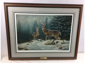 Limited Edition Print, Silent Snowfall-Whitetail Deer, Rosemary Millette