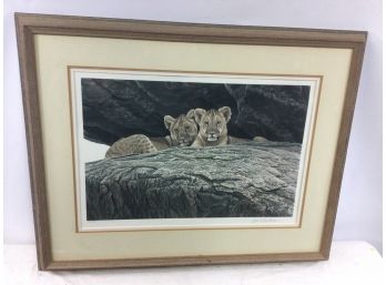 Lithograph, Lion Cubs, By Robert Bateman, 1977,