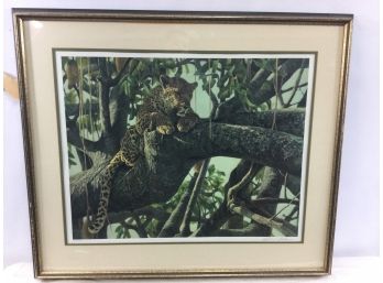 Lithograph, Leopard On Tree Branch, By Robert Bateman
