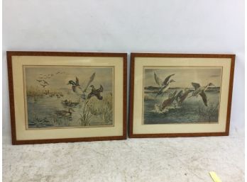 Pair Duck Engravings By Hal Singer, Hand Colored Copper Plate
