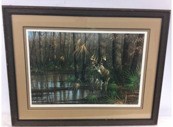 Limited Edition Print, Deer In Swamp, By Michael Sieve, 1985