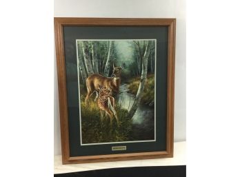 Limited Edition Print, Birch Creek-Whitetail Deer, By Rosemary Milette