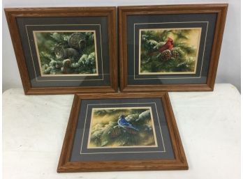 3 Limited Edition Prints, Squirrel, Bluejay & Cardinal, By Millette.