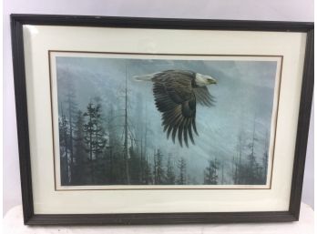 Lithograph, Bald Eagle In Flight, By Robert Bateman, 1978