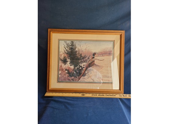 Pheasant Painting Signed Julie Crocker 1988 Framed