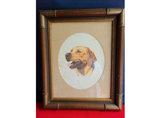 Portrait Of A Dog Labrador Picture Framed