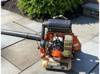 An Echo Gas Powered Backpack Leaf Blower With Padded Back