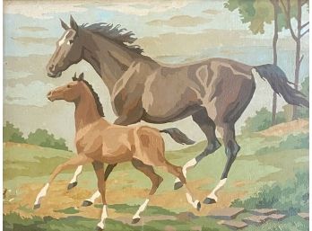 Vintage Equine Paint By Number