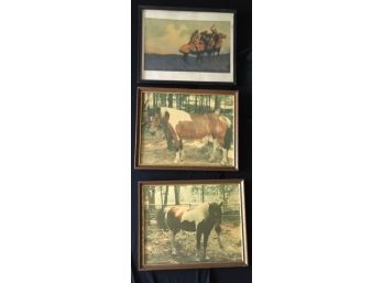 Trio Of Equine Prints