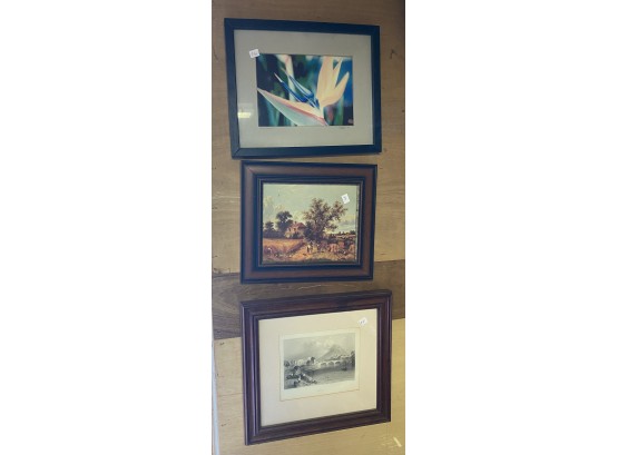 Three Framed Decorative Prints