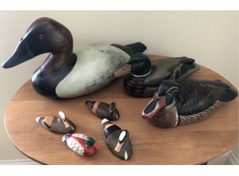 Decorative Duck Lot