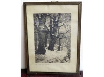 Early 20th C. Framed Black & White Print - Old Beech Trees In Winter - Artist Signed
