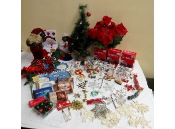 A Miniature Christmas Tree Lot