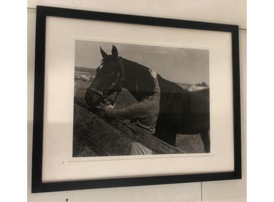 Framed Photograph Of Horse And Rider