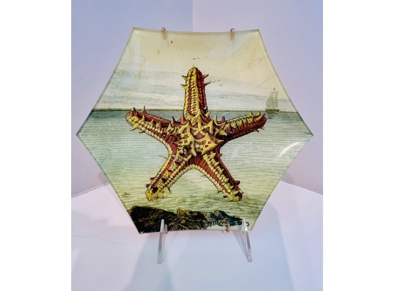 John Derian Starfish Plate On Stand