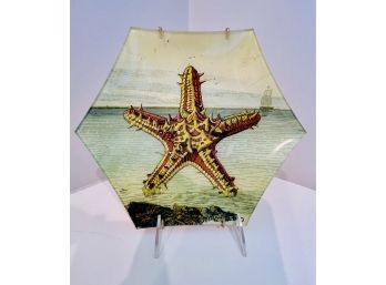 John Derian Starfish Plate On Stand