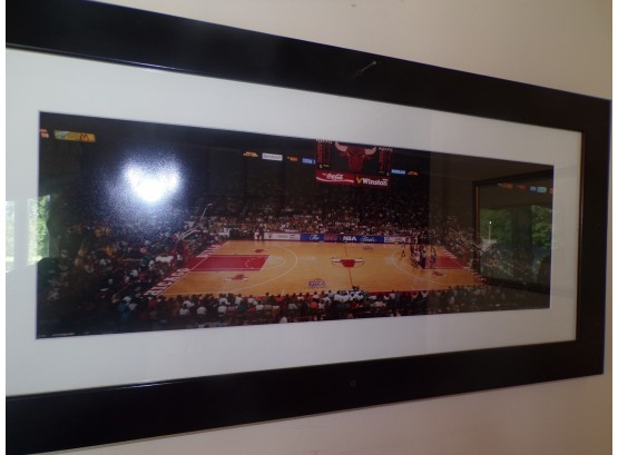 Framed Chicago Bulls Arena