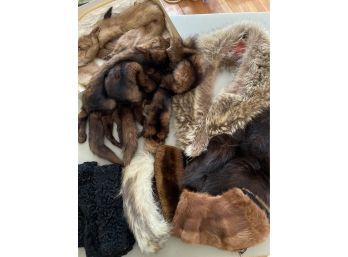 Fur Collection Shawl Collar