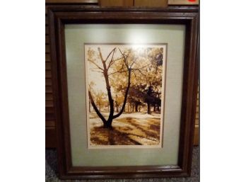 James Wennersten Pencil Signed Trees In Sunlight 42/225 Silk Screen Framed Print - Serigraphy
