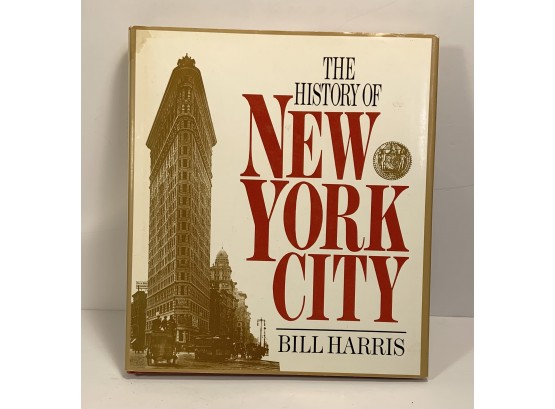 The History Of New York Book