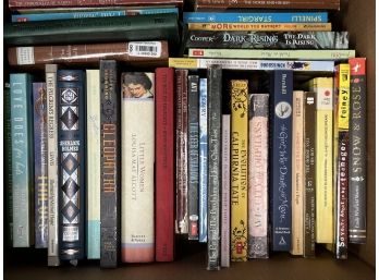 Box Lot: Books For Teens & Young Readers #3