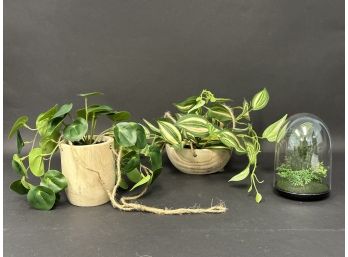 A Grouping Of Three Faux Plants