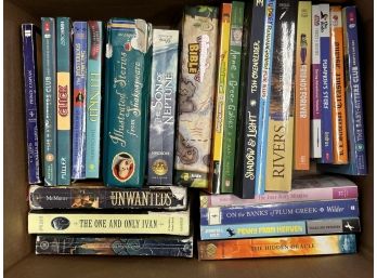 Box Lot: Books For Teens & Young Readers #2